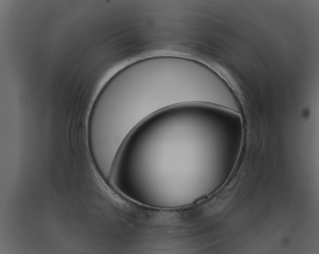 X0000091691238200708231123