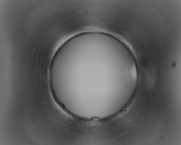 X0000091691239200708231123