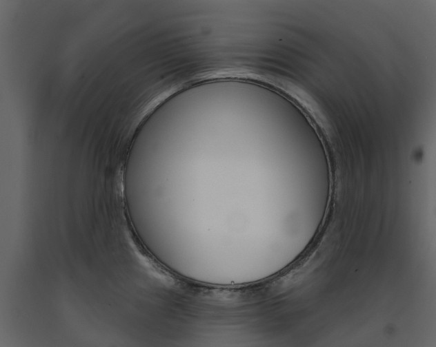 X0000091691241200708231123
