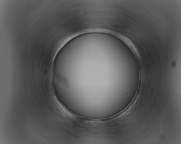 X0000091691244200708231123
