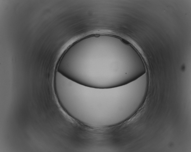 X0000091691245200708231123