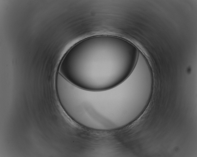 X0000091691246200708231123