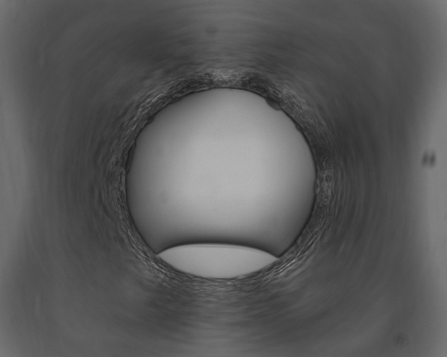 X0000091691249200708231123