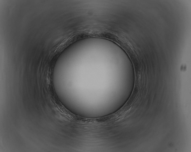 X0000091691250200708231123