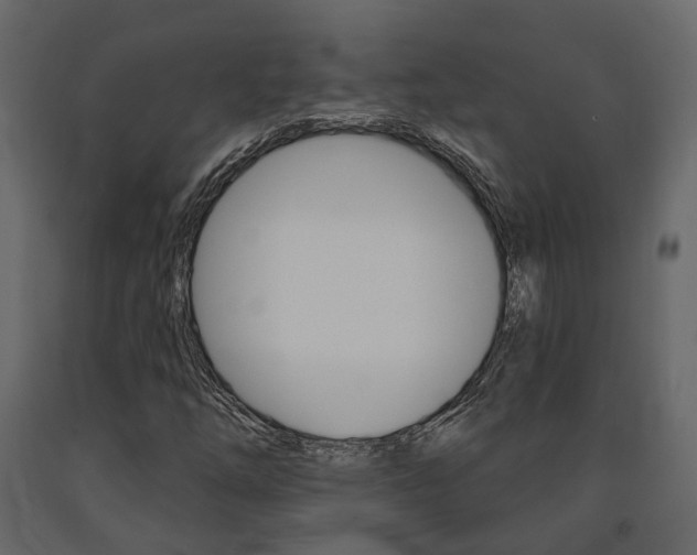 X0000091691254200708231123