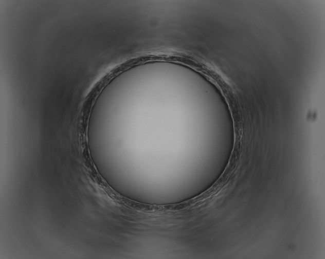 X0000091691256200708231123