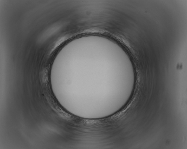 X0000091691258200708231123