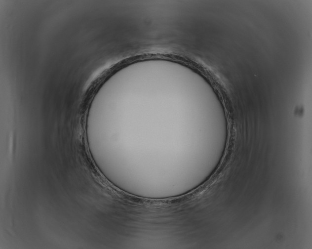 X0000091691262200708231123