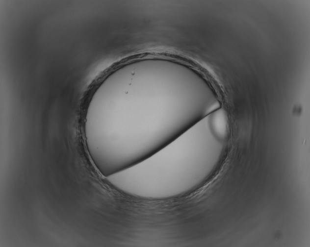 X0000091691263200708231123