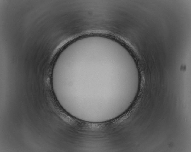 X0000091691266200708231123