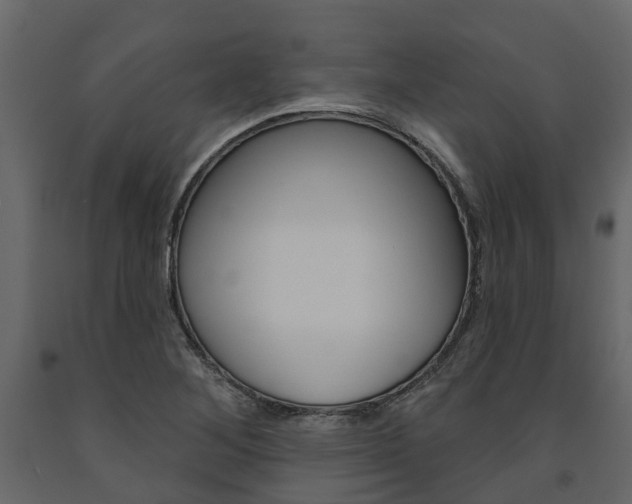X0000091691268200708231123