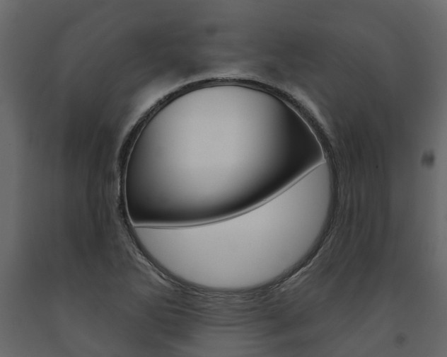 X0000091691270200708231122