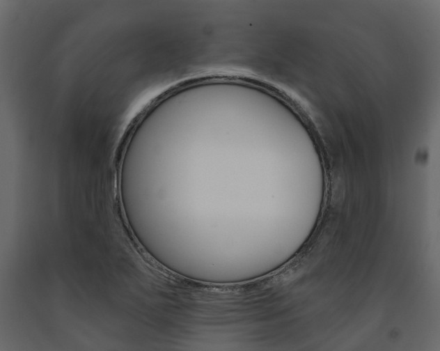 X0000091691271200708231122