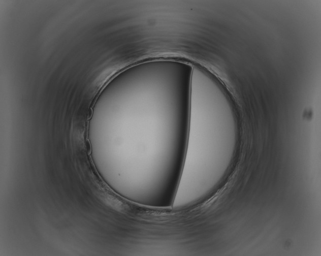 X0000091691273200708231122