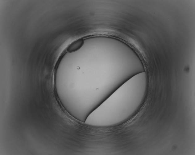 X0000091691275200708231122