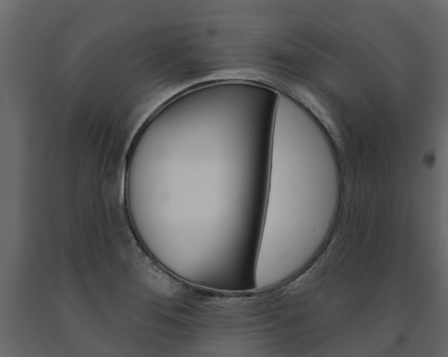 X0000091691276200708231122