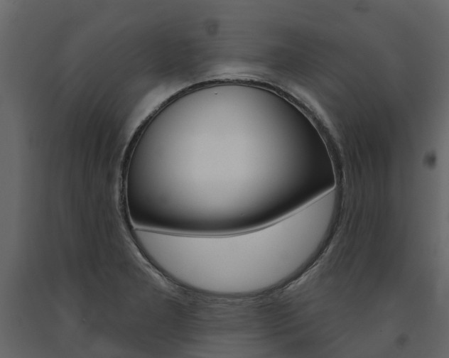 X0000091691277200708231122