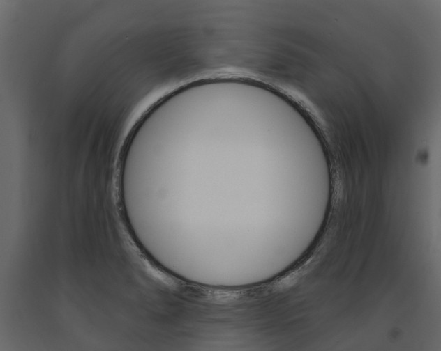 X0000091691278200708231122
