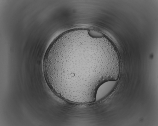 X0000091691283200708231122