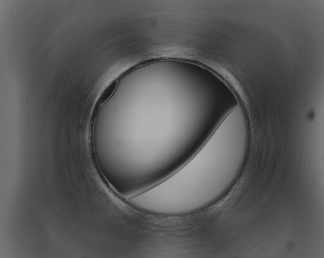 X0000091691285200708231122
