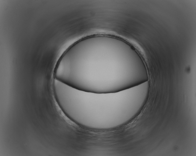 X0000091691287200708231122