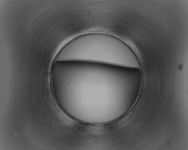 X0000091691288200708231122