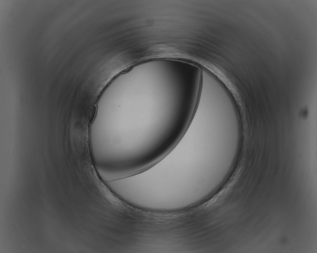 X0000091691289200708231122