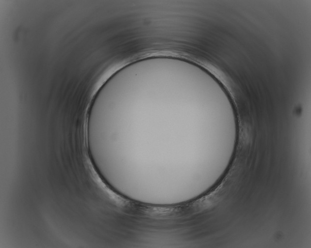X0000091691290200708231122