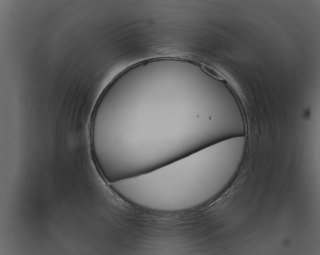 X0000091691291200708231122