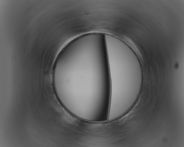 X0000091691292200708231122