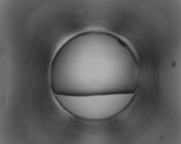 X0000091691295200708231122
