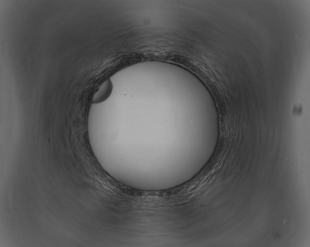 X0000091691297200708231121