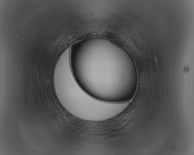 X0000091691298200708231121