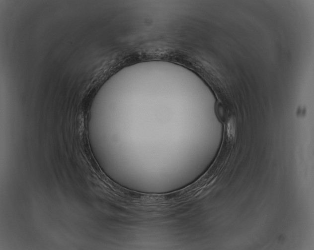 X0000091691299200708231121