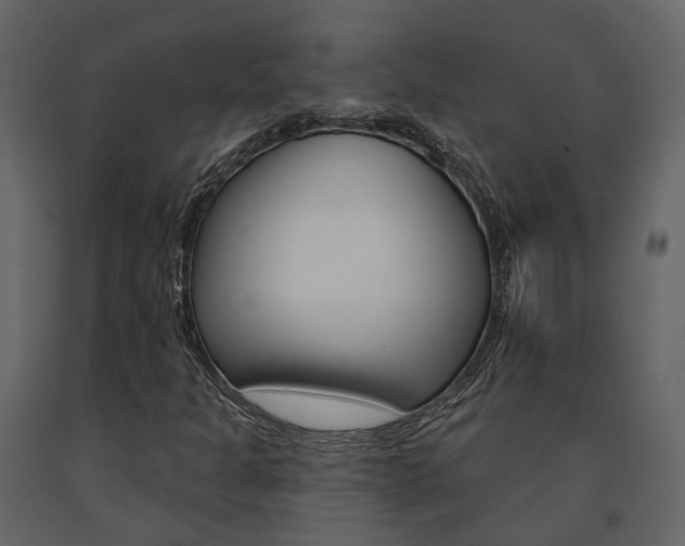 X0000091691301200708231121