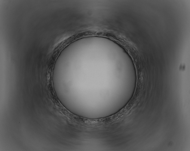 X0000091691302200708231121
