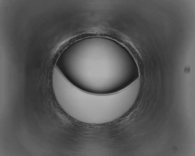 X0000091691304200708231122