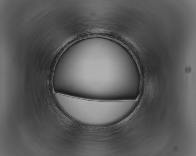 X0000091691305200708231122