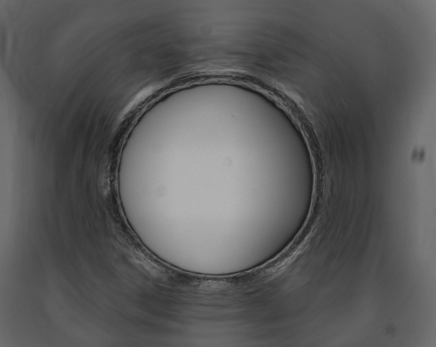 X0000091691306200708231122