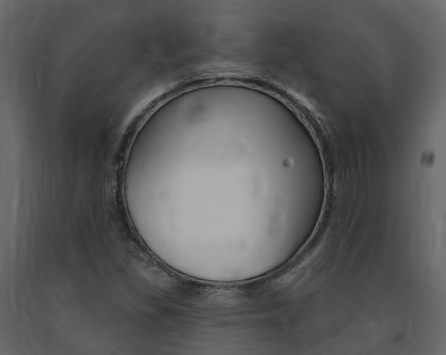X0000091691309200708231122