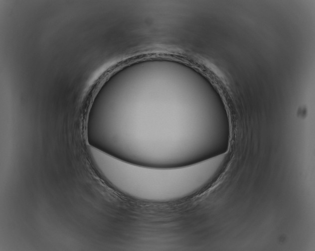 X0000091691310200708231122