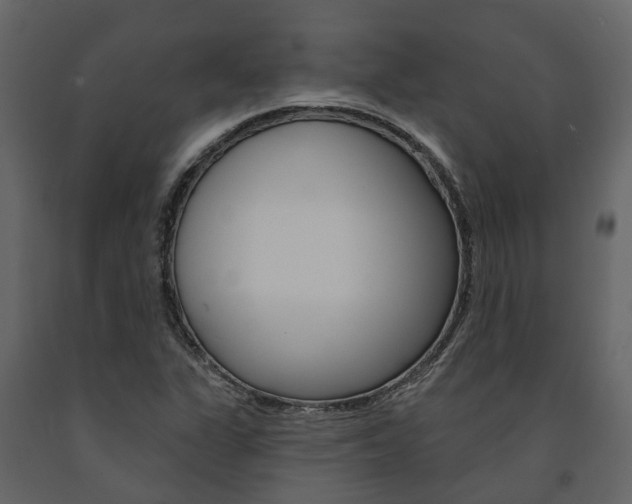 X0000091691311200708231122