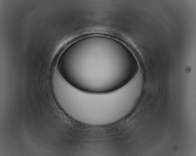 X0000091691312200708231122
