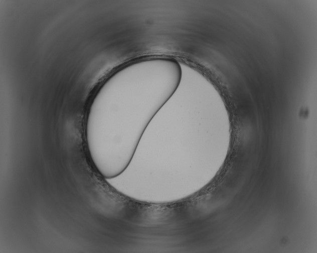 X0000091691314200708231122