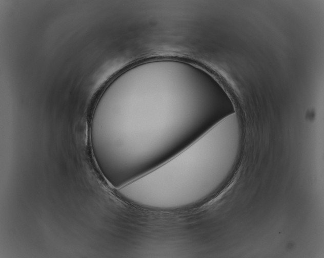 X0000091691317200708231122