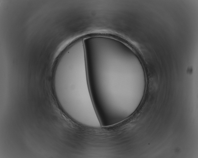 X0000091691319200708231122