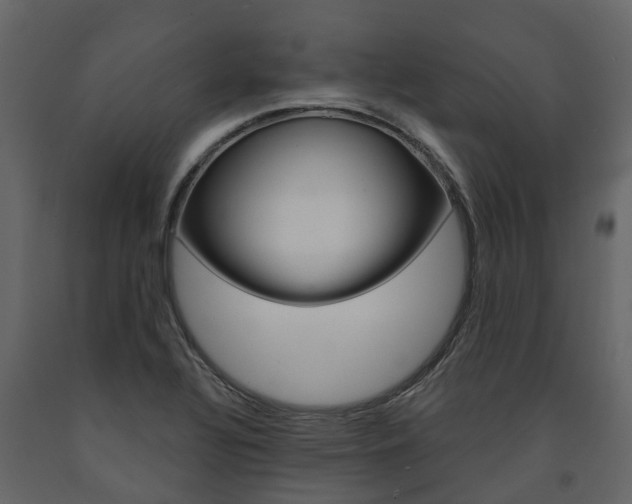 X0000091691320200708231122