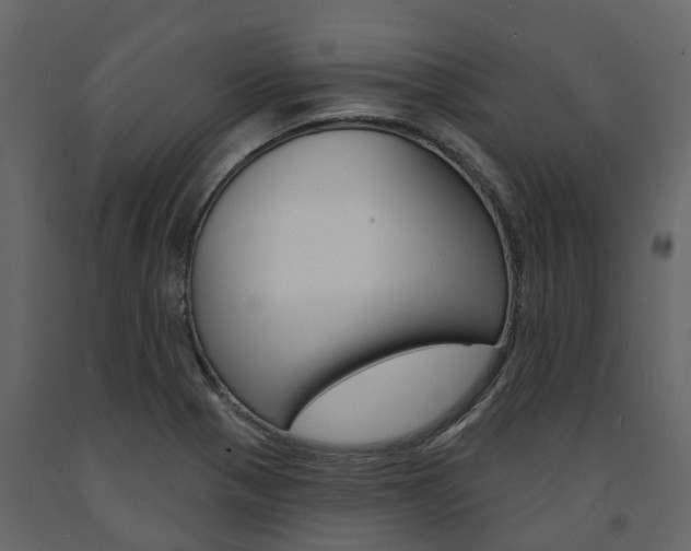 X0000091691321200708231122