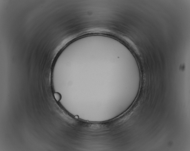 X0000091691322200708231122