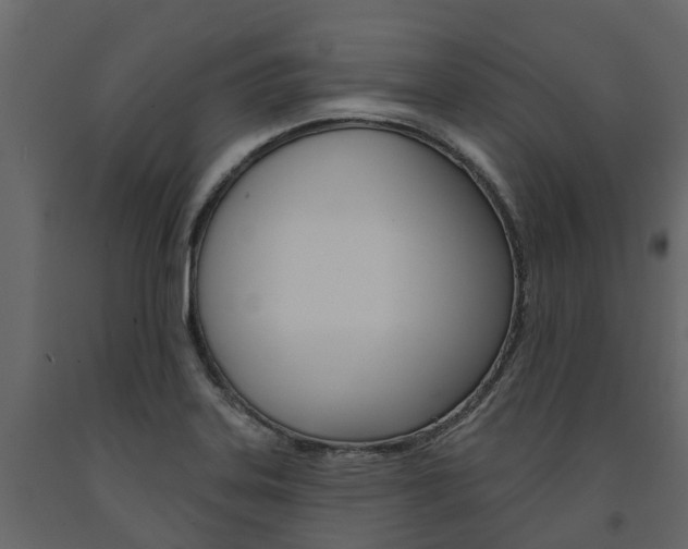 X0000091691323200708231122